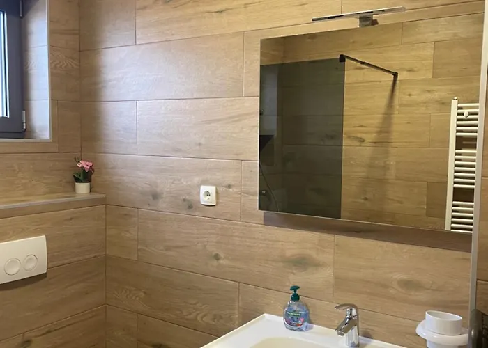 ゲストハウス Sobe Delux ヴォディツェ